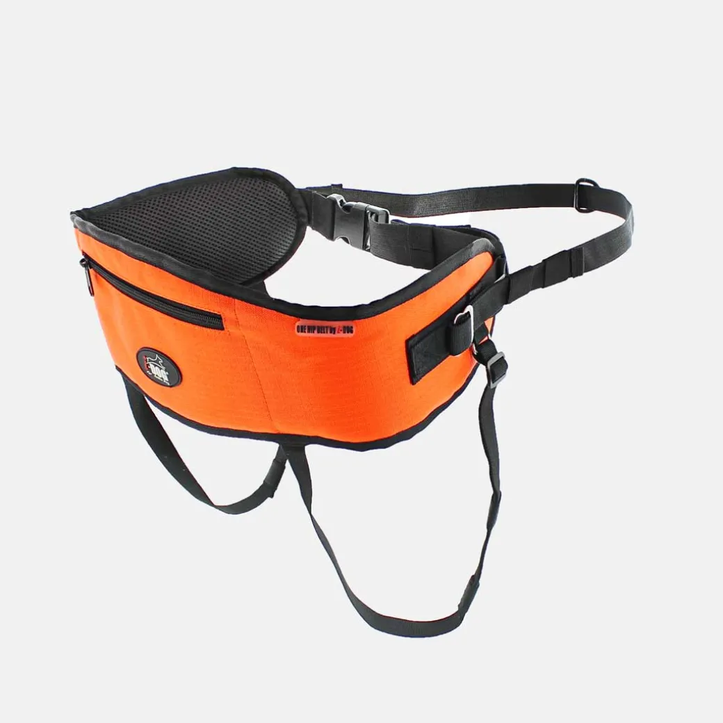 Femme Raidlight Canitrail | Canitrail | BAUDRIER CANICROSS ONE I-DOG